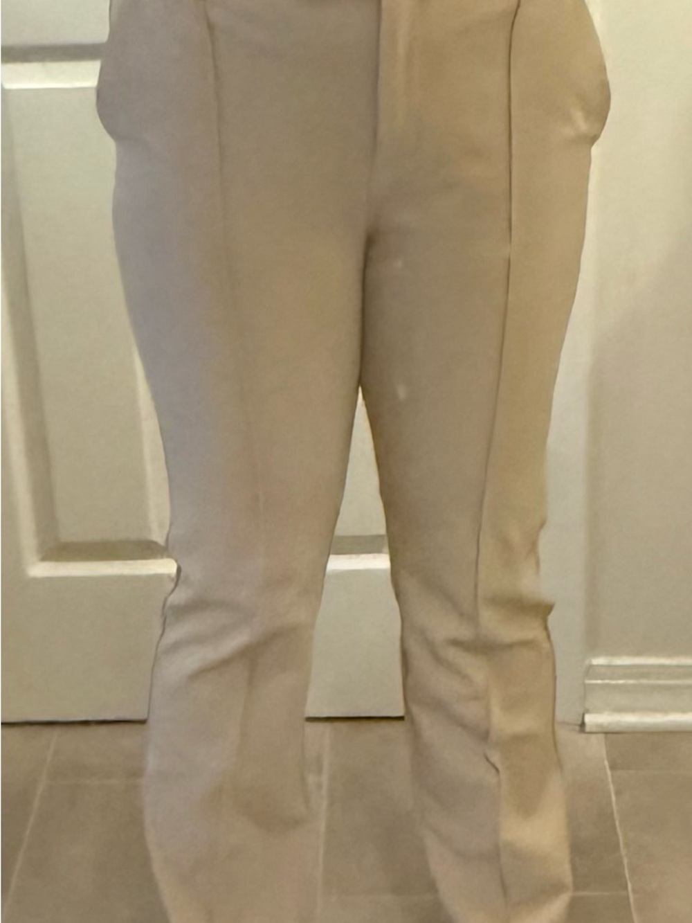 Express Neutral Beige Slim Tailored Pants